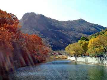 管家及100管家婆中奖概率高吗-最新动态深度解析与前瞻视频报道
